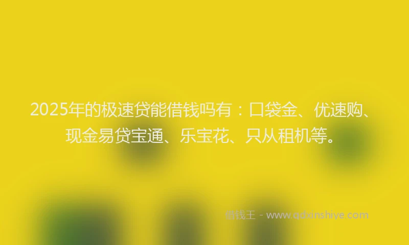2025年的极速贷能借钱吗有：口袋金、优速购、现金易贷宝通、乐宝花、只从租机等。