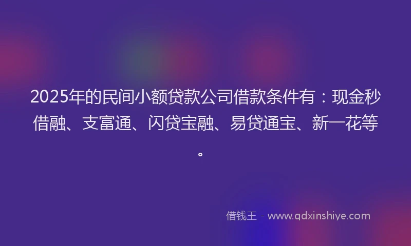 2025年的民间小额贷款公司借款条件有：现金秒借融、支富通、闪贷宝融、易贷通宝、新一花等。