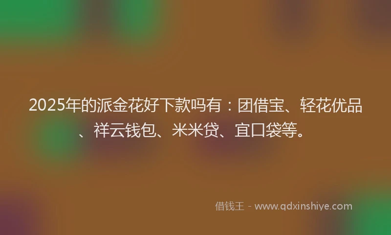 2025年的派金花好下款吗有：团借宝、轻花优品、祥云钱包、米米贷、宜口袋等。