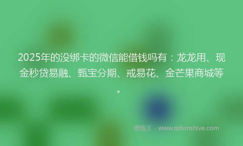 2025年的没绑卡的微信能借钱吗有：龙龙用、现金秒贷易融、甄宝分期、戒易花、金芒果商城等。