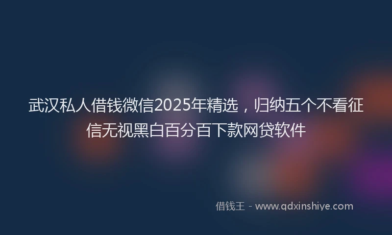 武汉私人借钱微信2025年精选，归纳五个不看征信无视黑白百分百下款网贷软件