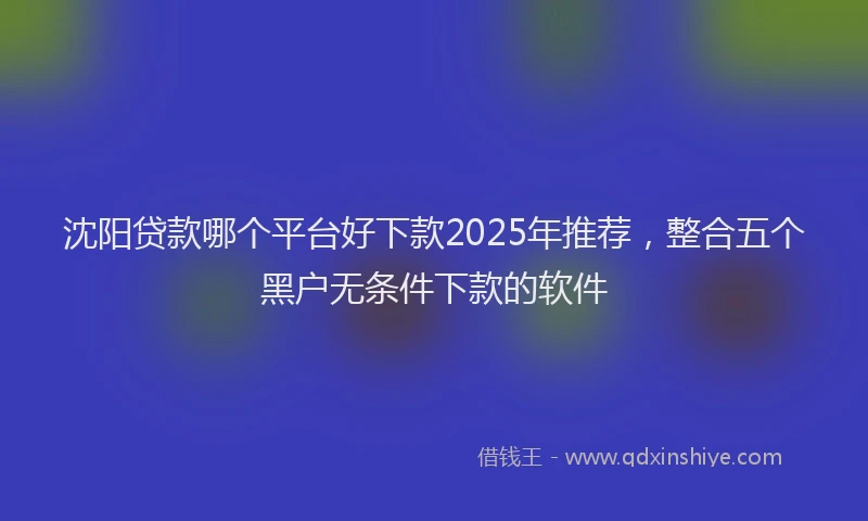 沈阳贷款哪个平台好下款2025年推荐，整合五个黑户无条件下款的软件