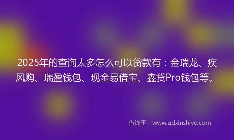 2025年的查询太多怎么可以贷款有：金瑞龙、疾风购、瑞盈钱包、现金易借宝、鑫贷Pro钱包等。