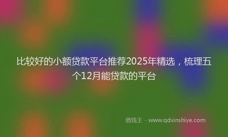 比较好的小额贷款平台推荐2025年精选，梳理五个12月能贷款的平台