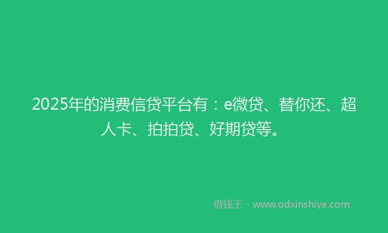 2025年的消费信贷平台有：e微贷、替你还、超人卡、拍拍贷、好期贷等。