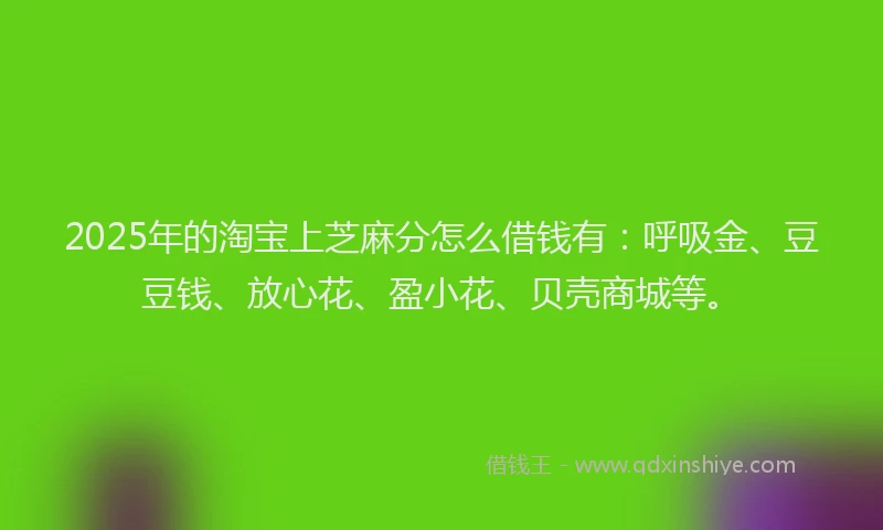 2025年的淘宝上芝麻分怎么借钱有：呼吸金、豆豆钱、放心花、盈小花、贝壳商城等。