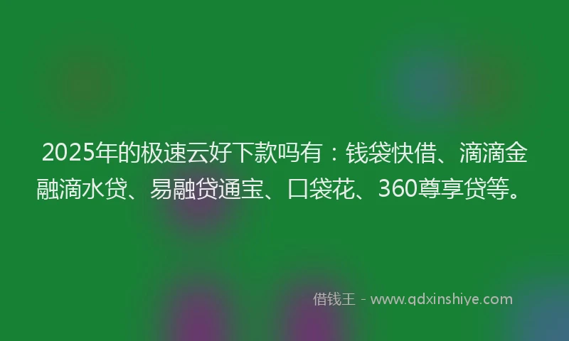 2025年的极速云好下款吗有：钱袋快借、滴滴金融滴水贷、易融贷通宝、口袋花、360尊享贷等。