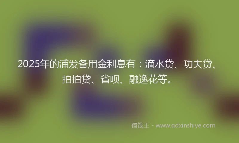 2025年的浦发备用金利息有：滴水贷、功夫贷、拍拍贷、省呗、融逸花等。