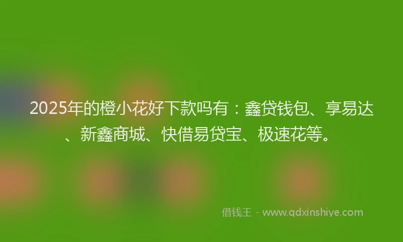 2025年的橙小花好下款吗有：鑫贷钱包、享易达、新鑫商城、快借易贷宝、极速花等。