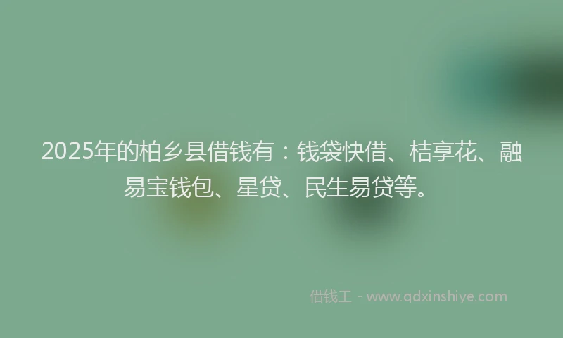 2025年的柏乡县借钱有：钱袋快借、桔享花、融易宝钱包、星贷、民生易贷等。