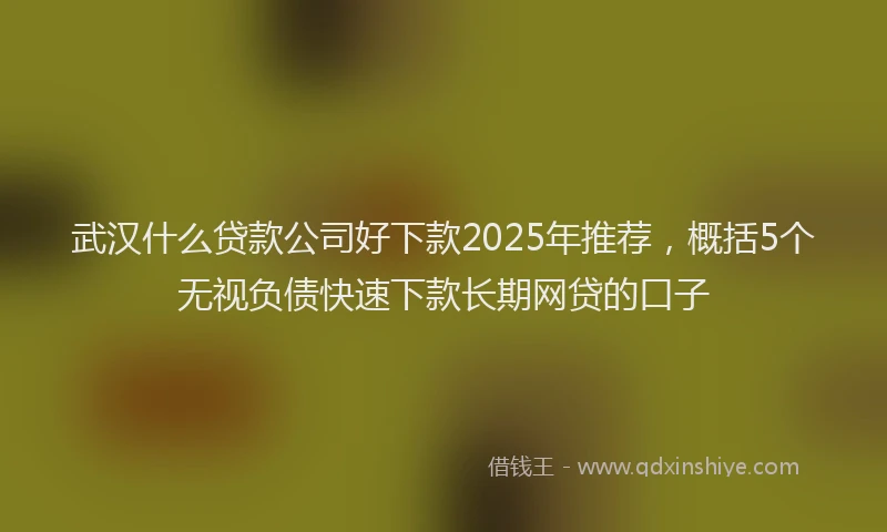 武汉什么贷款公司好下款2025年推荐，概括5个无视负债快速下款长期网贷的口子
