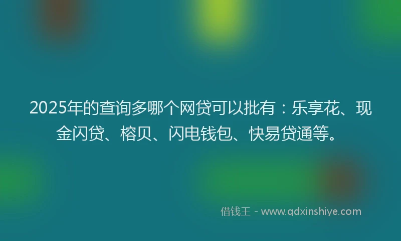 2025年的查询多哪个网贷可以批有：乐享花、现金闪贷、榕贝、闪电钱包、快易贷通等。