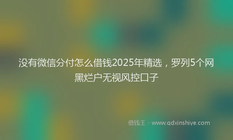 没有微信分付怎么借钱2025年精选，罗列5个网黑烂户无视风控口子