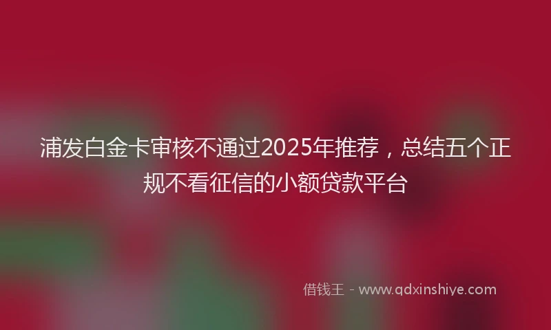 浦发白金卡审核不通过2025年推荐，总结五个正规不看征信的小额贷款平台