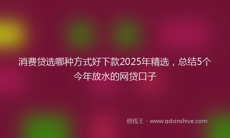 消费贷选哪种方式好下款2025年精选，总结5个今年放水的网贷口子