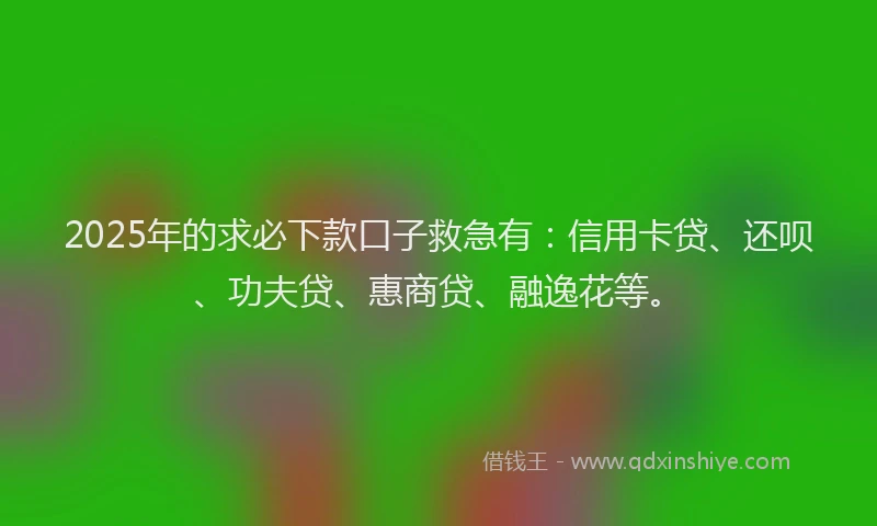 2025年的求必下款口子救急有：信用卡贷、还呗、功夫贷、惠商贷、融逸花等。