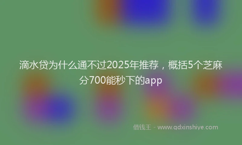 滴水贷为什么通不过2025年推荐，概括5个芝麻分700能秒下的app