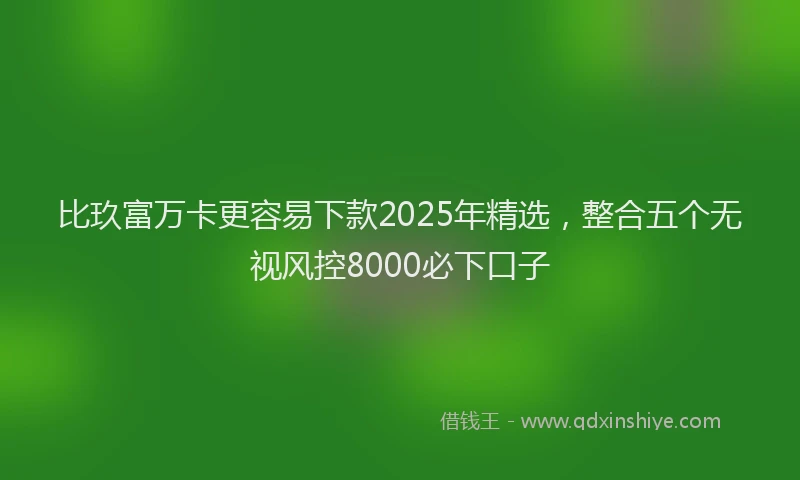 比玖富万卡更容易下款2025年精选，整合五个无视风控8000必下口子