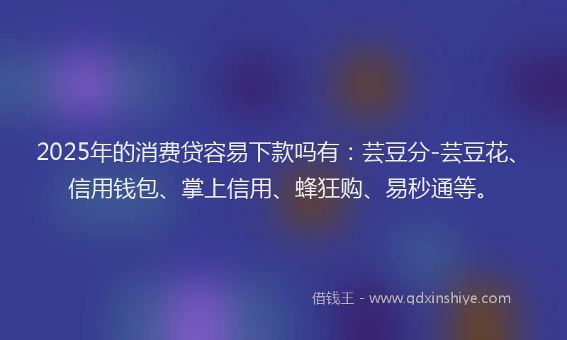 2025年的消费贷容易下款吗有：芸豆分-芸豆花、信用钱包、掌上信用、蜂狂购、易秒通等。