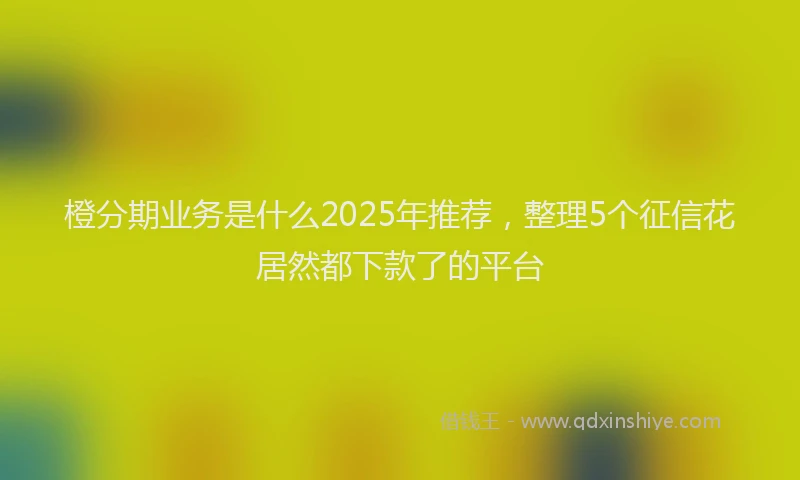 橙分期业务是什么2025年推荐，整理5个征信花居然都下款了的平台