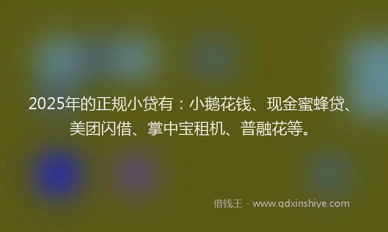 2025年的正规小贷有：小鹅花钱、现金蜜蜂贷、美团闪借、掌中宝租机、普融花等。