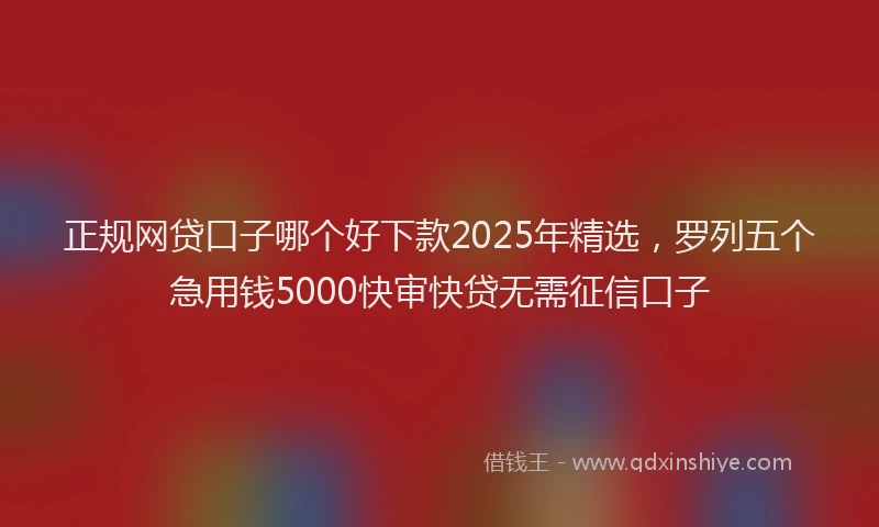 正规网贷口子哪个好下款2025年精选，罗列五个急用钱5000快审快贷无需征信口子