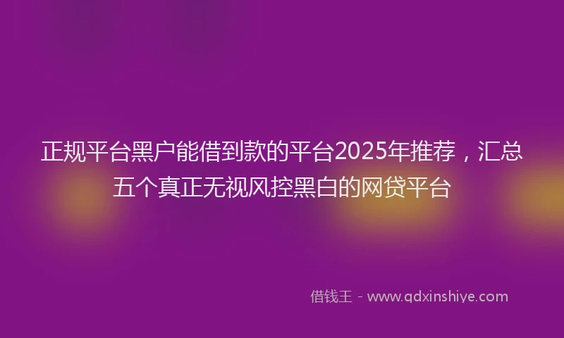 正规平台黑户能借到款的平台2025年推荐，汇总五个真正无视风控黑白的网贷平台