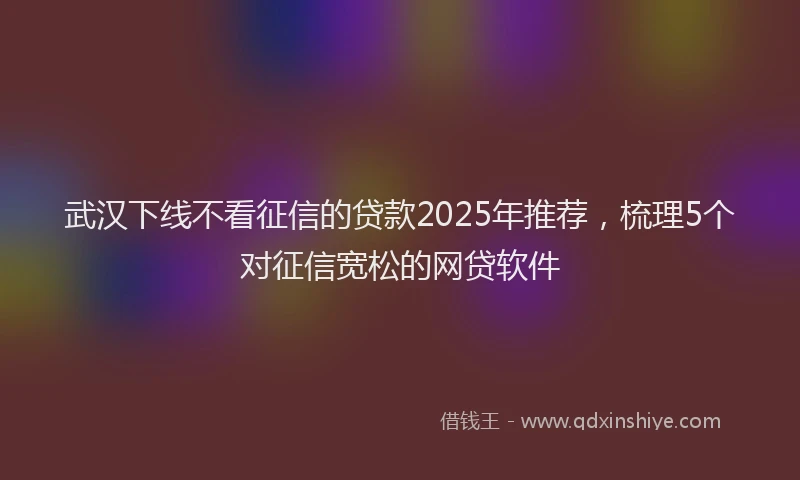 武汉下线不看征信的贷款2025年推荐，梳理5个对征信宽松的网贷软件