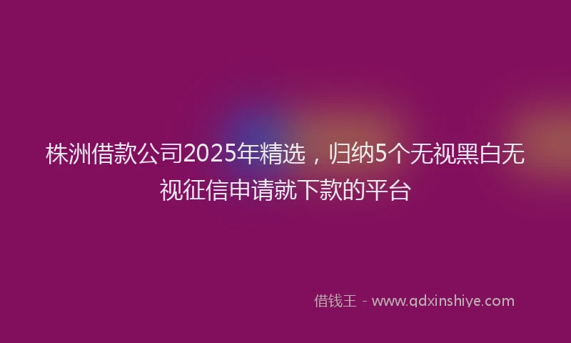 株洲借款公司2025年精选，归纳5个无视黑白无视征信申请就下款的平台