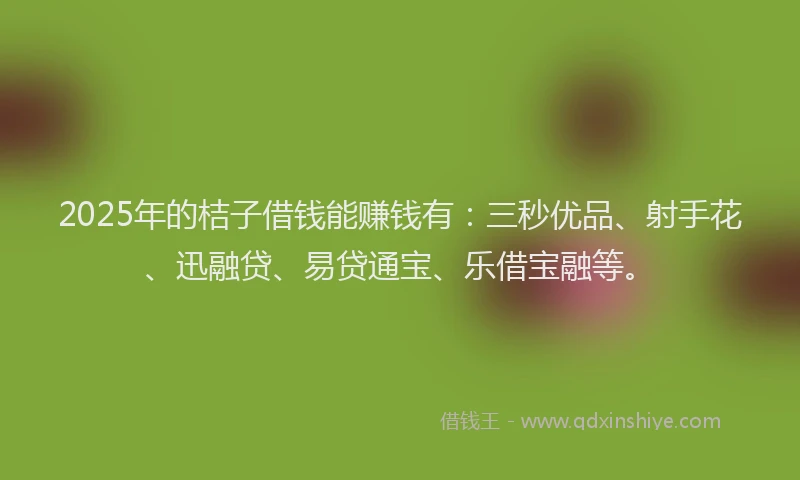 2025年的桔子借钱能赚钱有：三秒优品、射手花、迅融贷、易贷通宝、乐借宝融等。