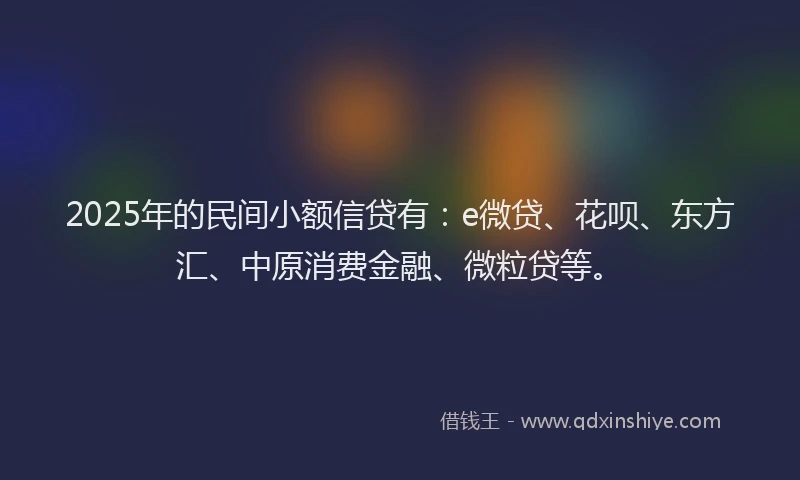 2025年的民间小额信贷有：e微贷、花呗、东方汇、中原消费金融、微粒贷等。