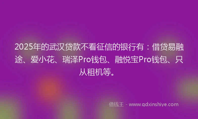 2025年的武汉贷款不看征信的银行有：借贷易融途、爱小花、瑞泽Pro钱包、融悦宝Pro钱包、只从租机等。