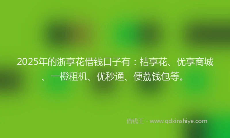 2025年的浙享花借钱口子有：桔享花、优享商城、一橙租机、优秒通、便荔钱包等。