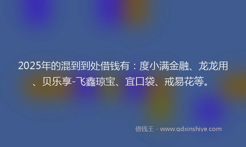 2025年的混到到处借钱有：度小满金融、龙龙用、贝乐享-飞鑫琼宝、宜口袋、戒易花等。