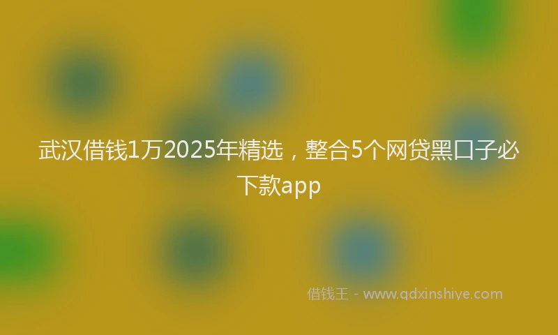 武汉借钱1万2025年精选，整合5个网贷黑口子必下款app