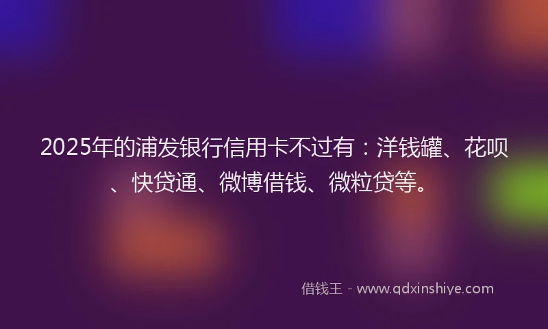 2025年的浦发银行信用卡不过有:洋钱罐、花呗、快贷通、微博借钱、微粒贷等。