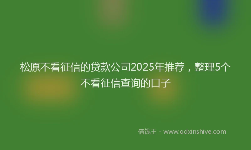 松原不看征信的贷款公司2025年推荐，整理5个不看征信查询的口子