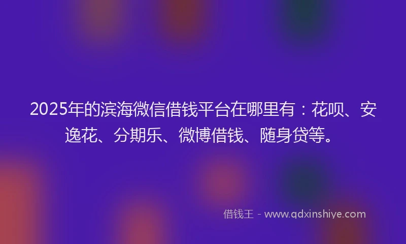 2025年的滨海微信借钱平台在哪里有：花呗、安逸花、分期乐、微博借钱、随身贷等。