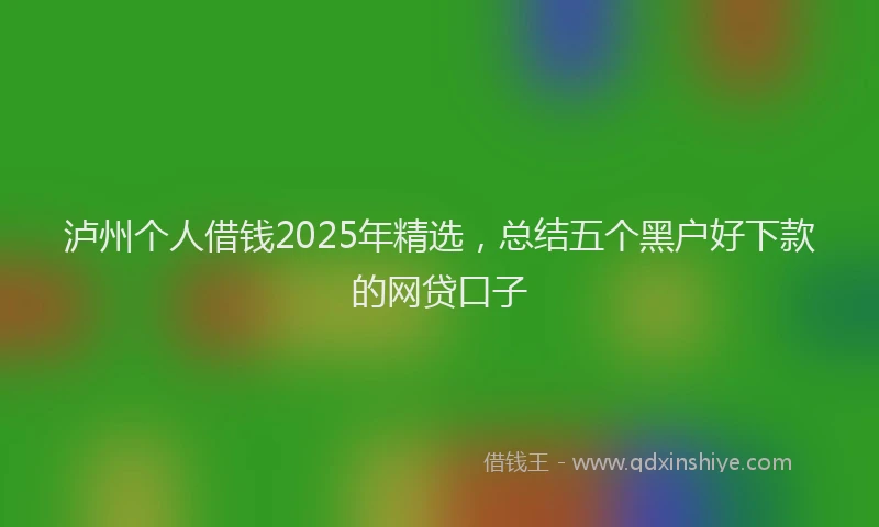 泸州个人借钱2025年精选，总结五个黑户好下款的网贷口子