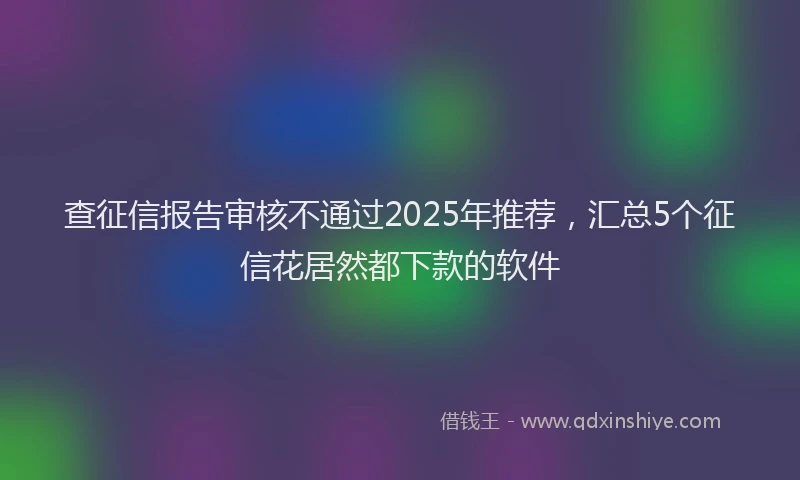 查征信报告审核不通过2025年推荐，汇总5个征信花居然都下款的软件