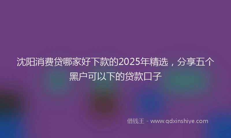 沈阳消费贷哪家好下款的2025年精选，分享五个黑户可以下的贷款口子