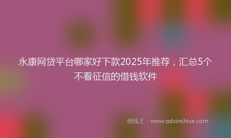 永康网贷平台哪家好下款2025年推荐，汇总5个不看征信的借钱软件