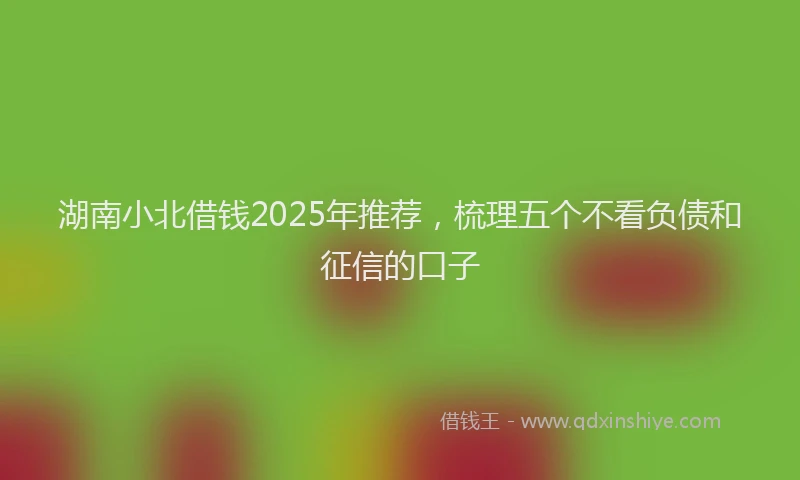 湖南小北借钱2025年推荐，梳理五个不看负债和征信的口子