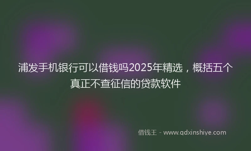 浦发手机银行可以借钱吗2025年精选，概括五个真正不查征信的贷款软件