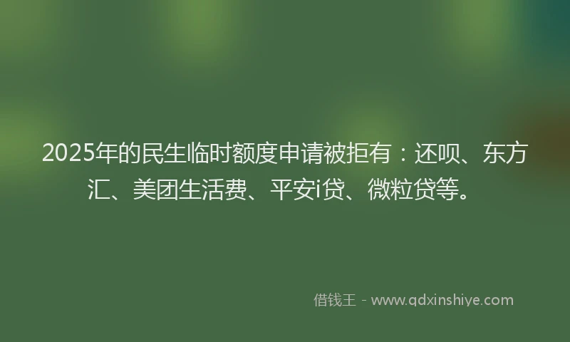 2025年的民生临时额度申请被拒有：还呗、东方汇、美团生活费、平安i贷、微粒贷等。