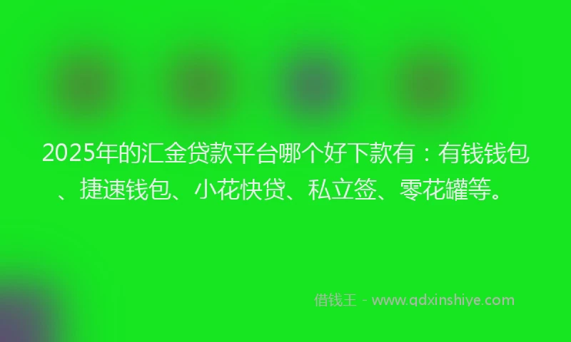 2025年的汇金贷款平台哪个好下款有：有钱钱包、捷速钱包、小花快贷、私立签、零花罐等。