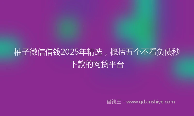柚子微信借钱2025年精选，概括五个不看负债秒下款的网贷平台