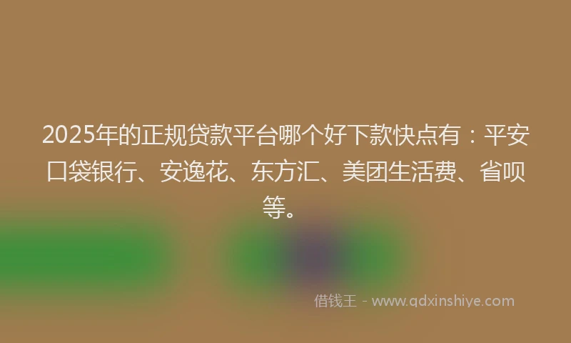 2025年的正规贷款平台哪个好下款快点有：平安口袋银行、安逸花、东方汇、美团生活费、省呗等。