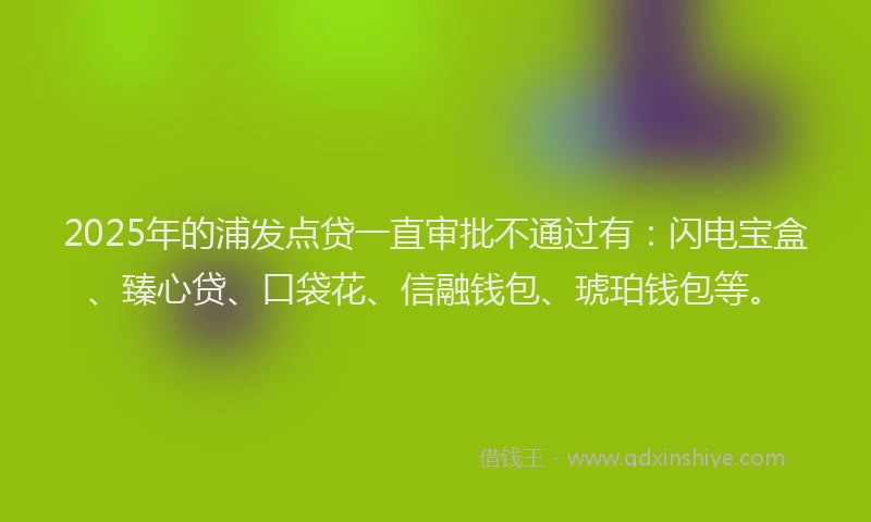 2025年的浦发点贷一直审批不通过有：闪电宝盒、臻心贷、口袋花、信融钱包、琥珀钱包等。