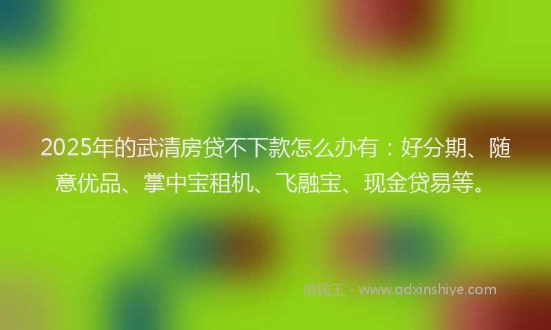 2025年的武清房贷不下款怎么办有：好分期、随意优品、掌中宝租机、飞融宝、现金贷易等。